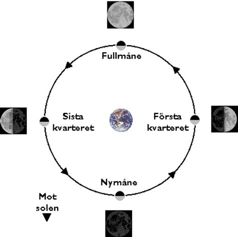 Månfaser korsord